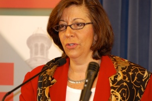 State Rep. Sara Feigenholtz